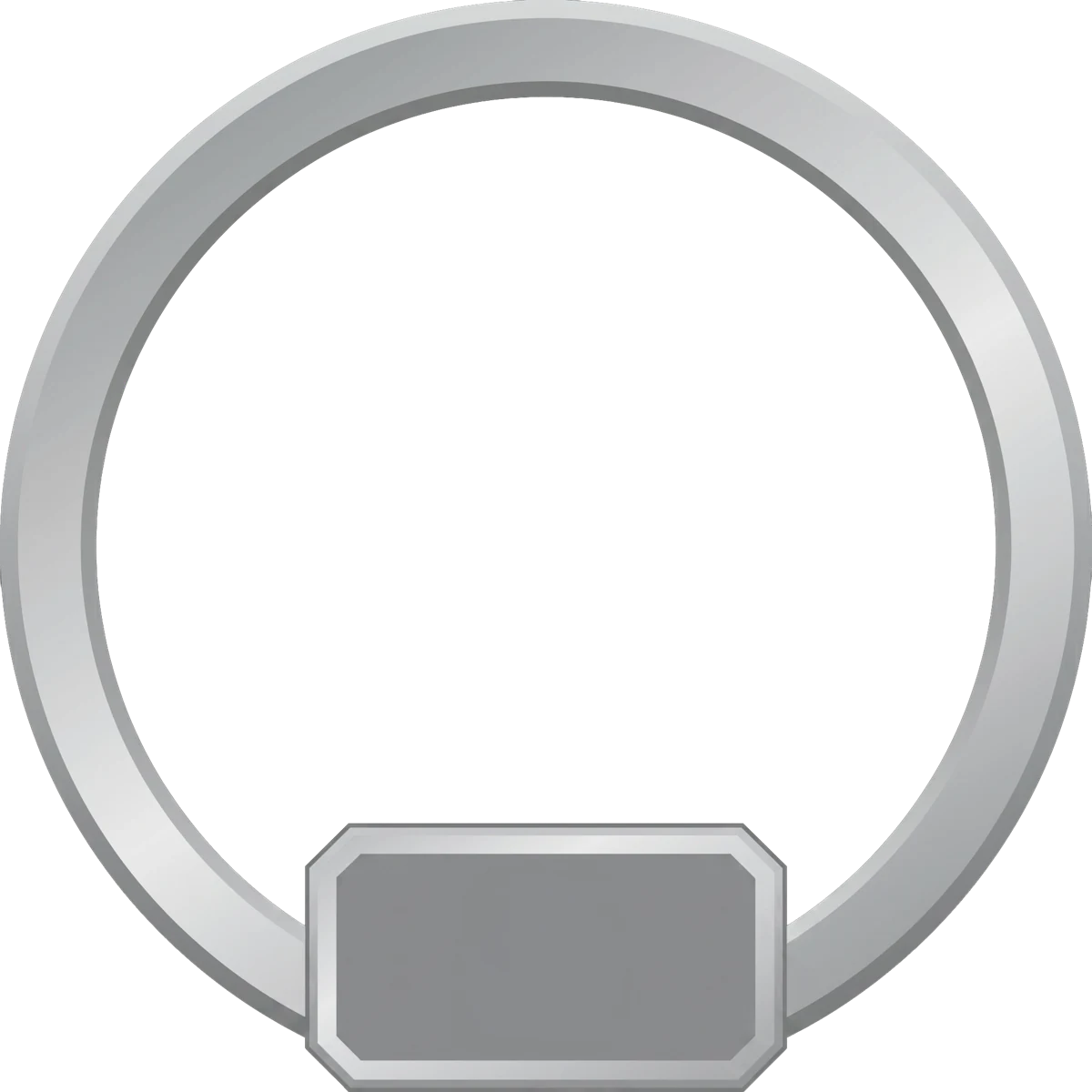 Circular silver frame marking the author badge on this guide